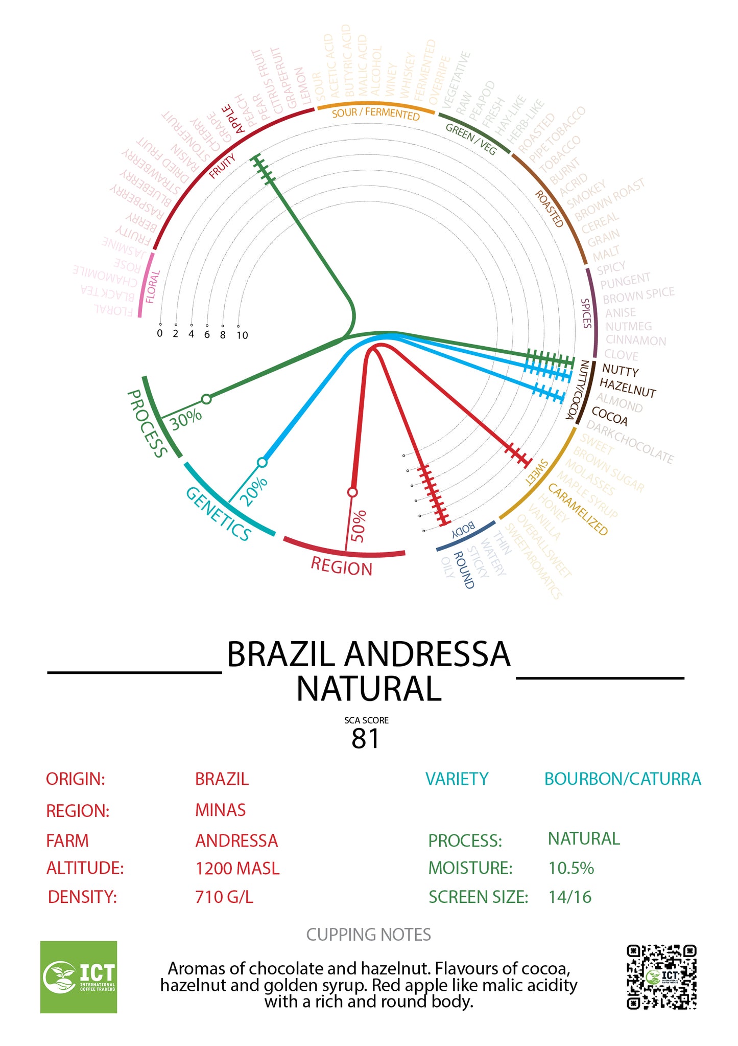 Brazil - Matas de Minas - "Andressa" Natural