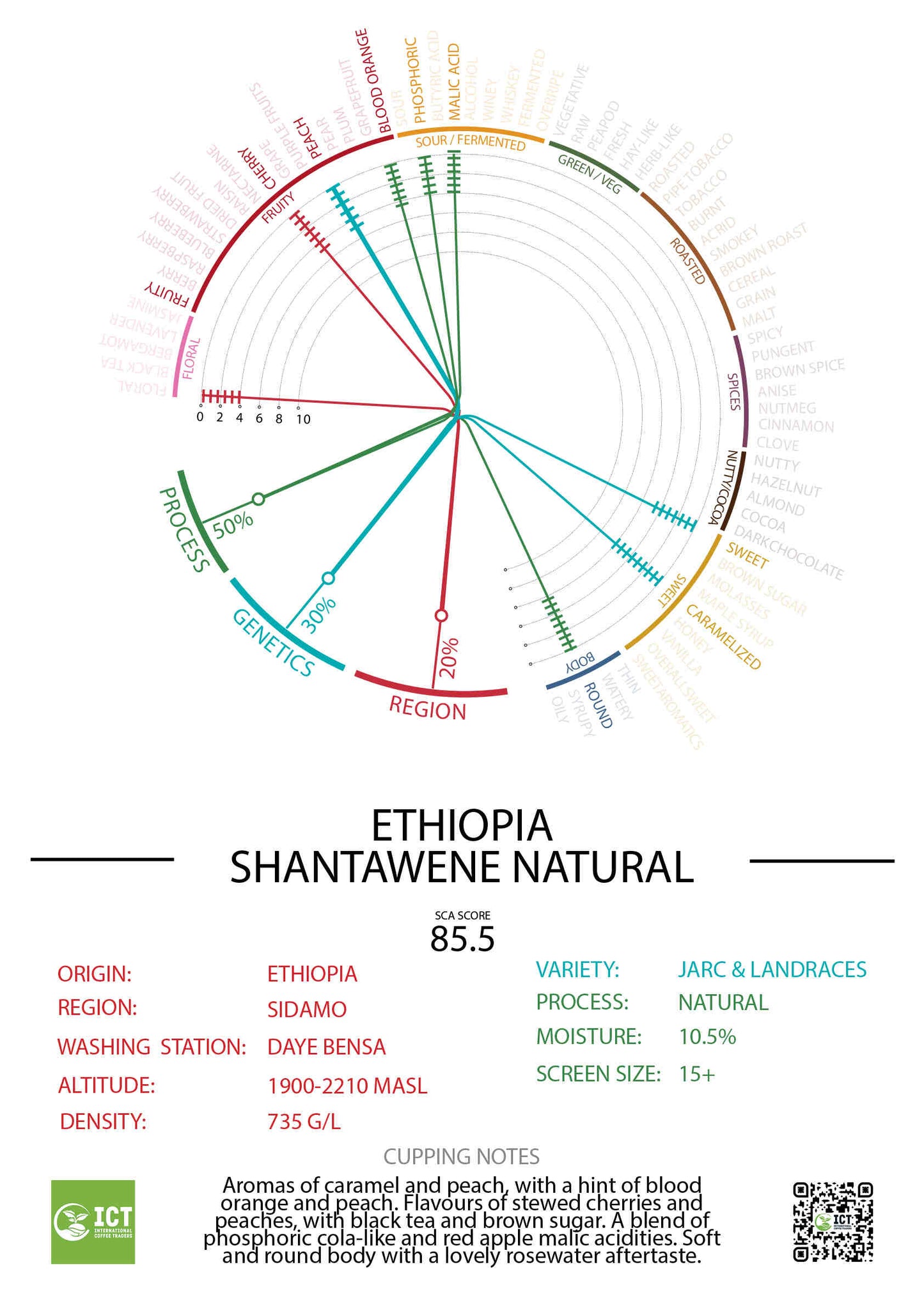 Ethiopia - Sidamo - Shantawene - "Grade 1" Natural