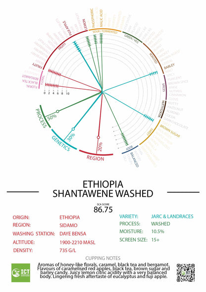 Ethiopia - Sidamo - Shantawene - "Grade 1" Washed