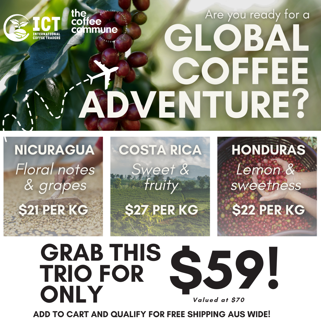 Central American Coffee Adventure | A Curated Flavour Journey