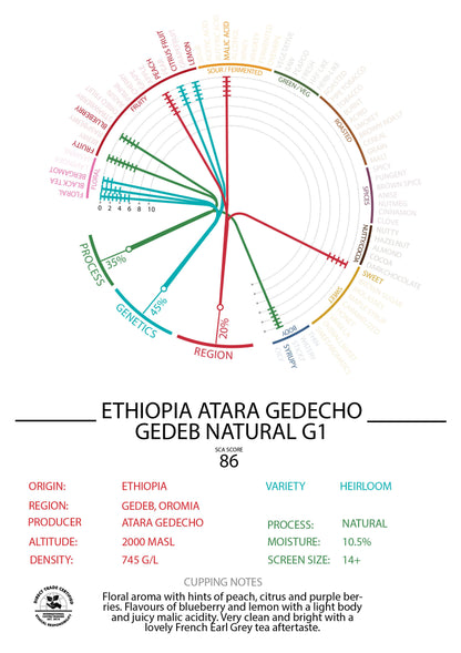 Ethiopia - Gedeb - Atara Gedecho - "Grade 1" Natural
